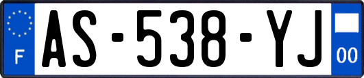 AS-538-YJ