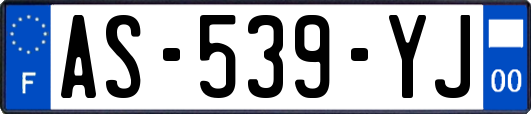 AS-539-YJ