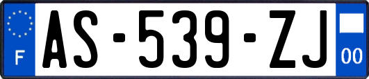 AS-539-ZJ