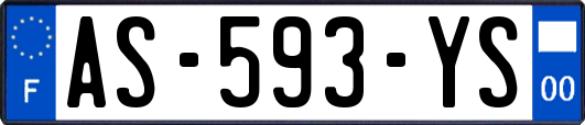 AS-593-YS