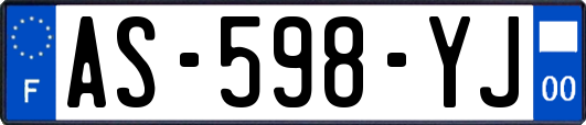 AS-598-YJ