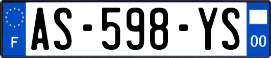 AS-598-YS