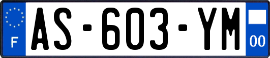 AS-603-YM