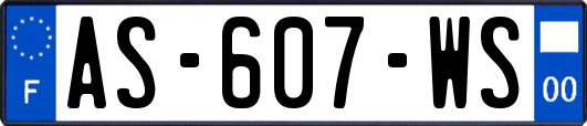 AS-607-WS