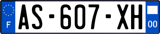 AS-607-XH