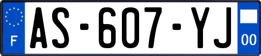 AS-607-YJ