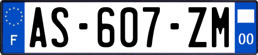 AS-607-ZM