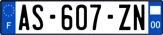 AS-607-ZN