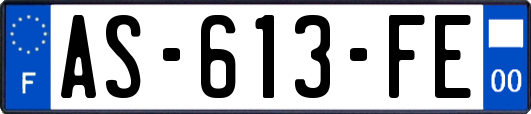 AS-613-FE