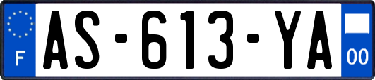 AS-613-YA