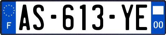 AS-613-YE
