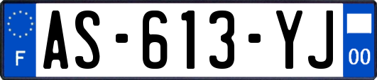 AS-613-YJ