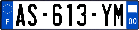 AS-613-YM