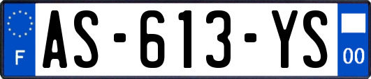 AS-613-YS