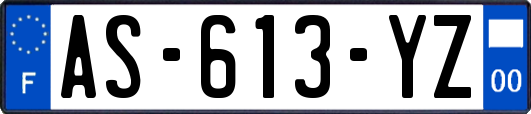 AS-613-YZ