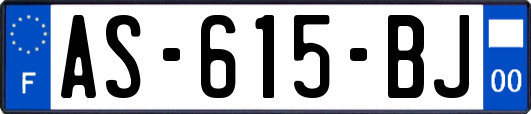 AS-615-BJ