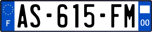 AS-615-FM
