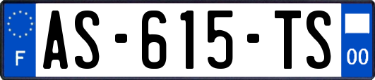 AS-615-TS