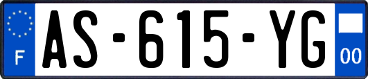 AS-615-YG
