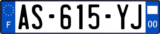 AS-615-YJ