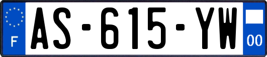 AS-615-YW