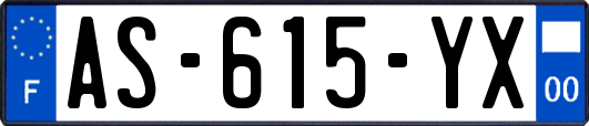 AS-615-YX