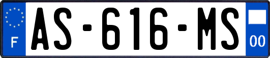 AS-616-MS