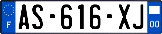 AS-616-XJ