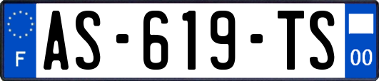 AS-619-TS