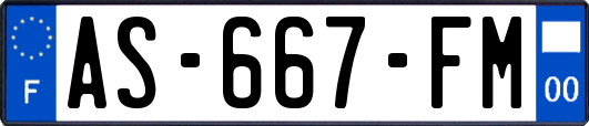 AS-667-FM