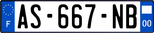 AS-667-NB