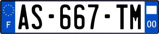 AS-667-TM
