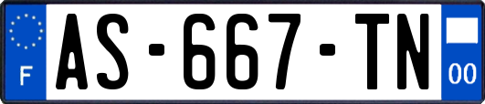 AS-667-TN