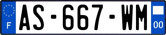 AS-667-WM