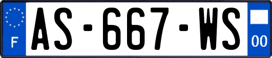 AS-667-WS