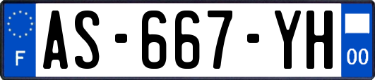AS-667-YH