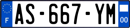 AS-667-YM