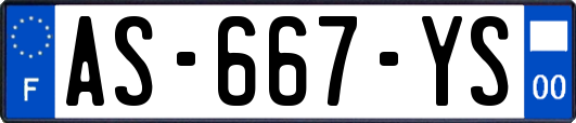 AS-667-YS