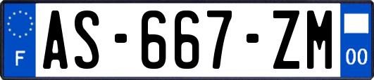 AS-667-ZM