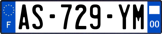 AS-729-YM