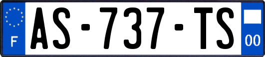 AS-737-TS