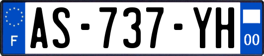 AS-737-YH