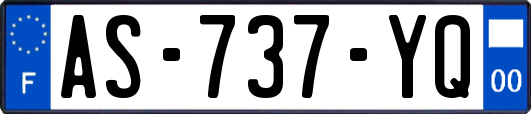AS-737-YQ