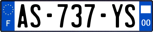 AS-737-YS