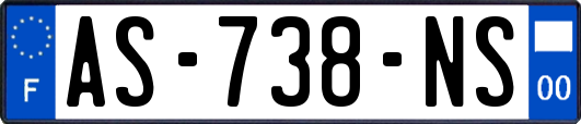 AS-738-NS