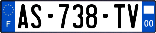 AS-738-TV