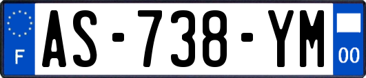 AS-738-YM