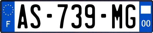 AS-739-MG