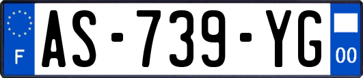 AS-739-YG