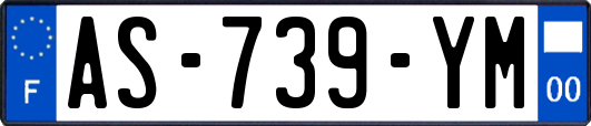 AS-739-YM